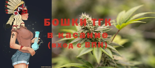 PSILOCYBIN Пересвет