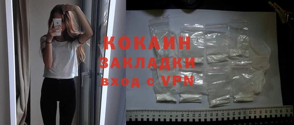 гидра Ленинск-Кузнецкий