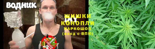 PSILOCYBIN Пересвет