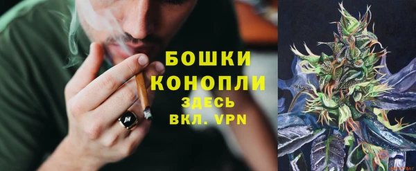 МДПВ Осташков