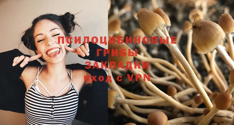 Галлюциногенные грибы ЛСД  Куртамыш 